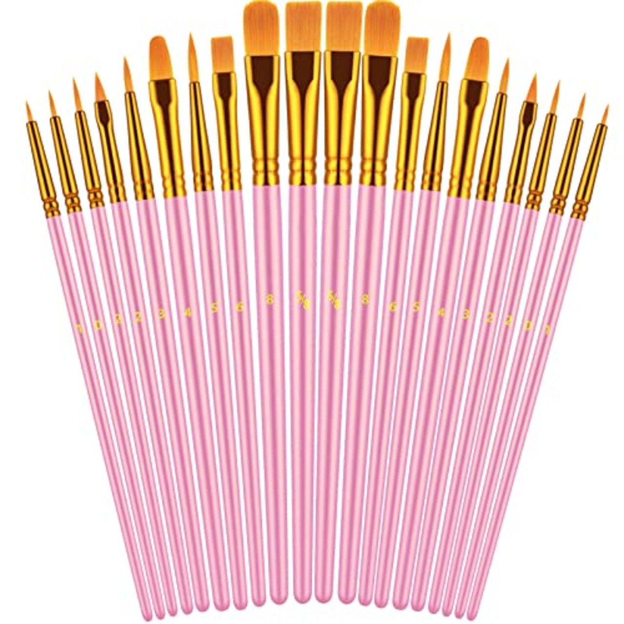 Paint Brushes Set, 20 Pcs Paint Brushes for Acrylic Painting, Oil  Watercolor Acrylic Paint Brush, Artist Paintbrushes for Body Face Rock  Canvas, Kids Adult Drawing Arts Crafts Supplies, Blush